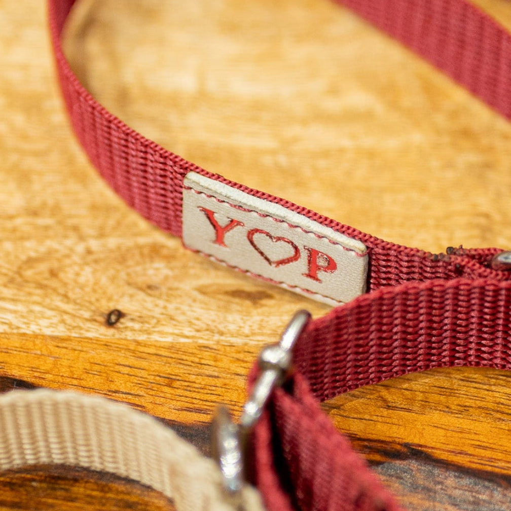 Pielāgojams tagu papildinājums