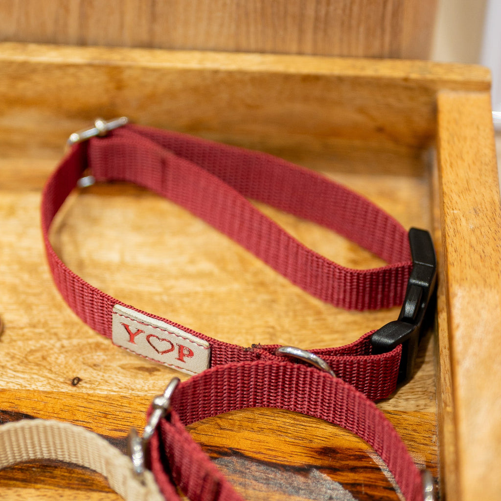 Pielāgojams tagu papildinājums