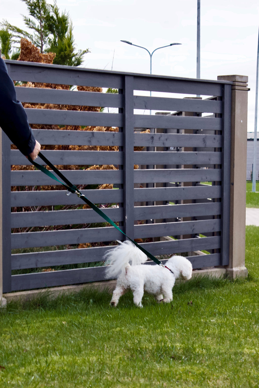 Daudzfunkcionālas suņu pavadas