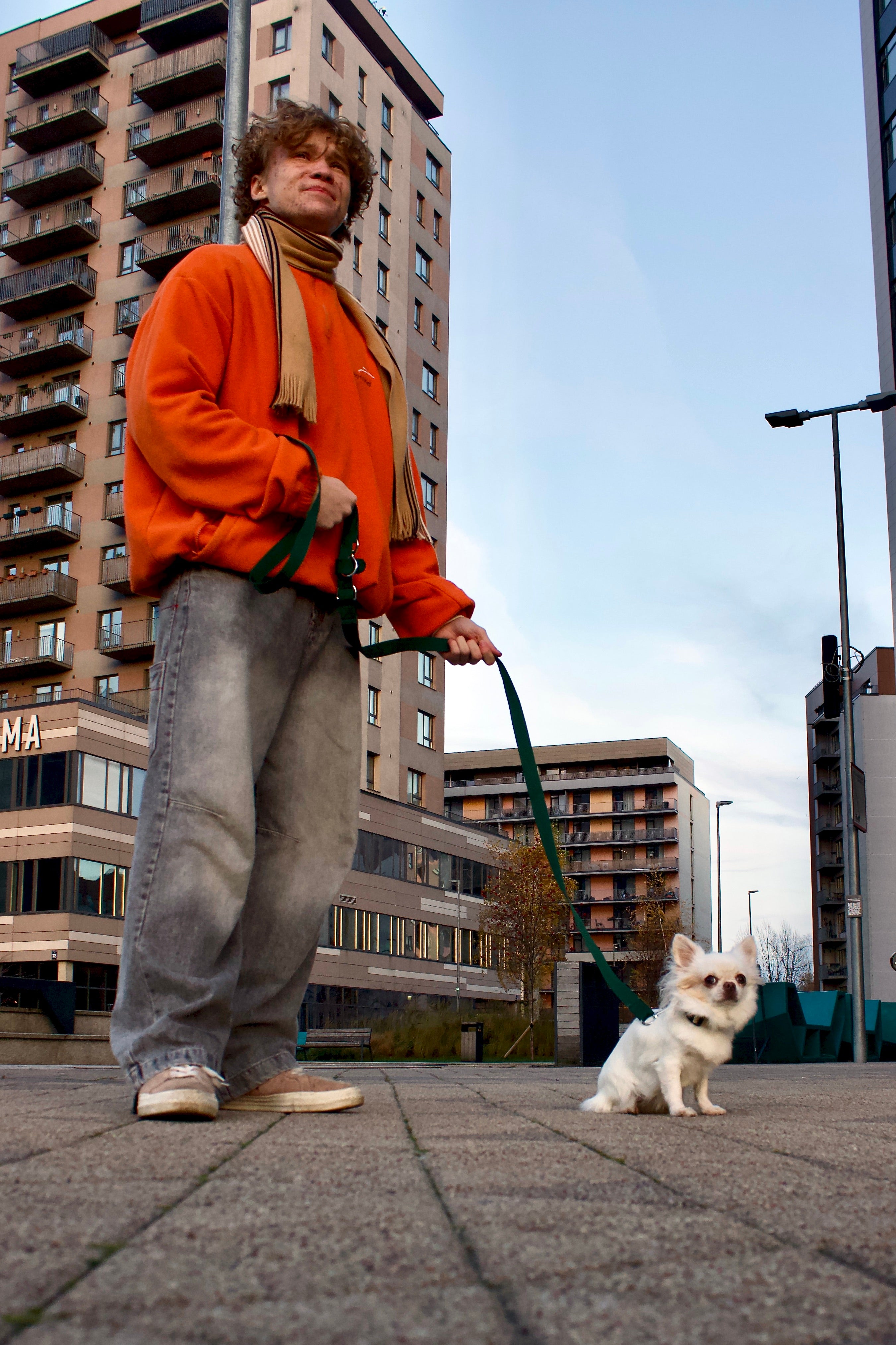 Daudzfunkcionālas suņu pavadas