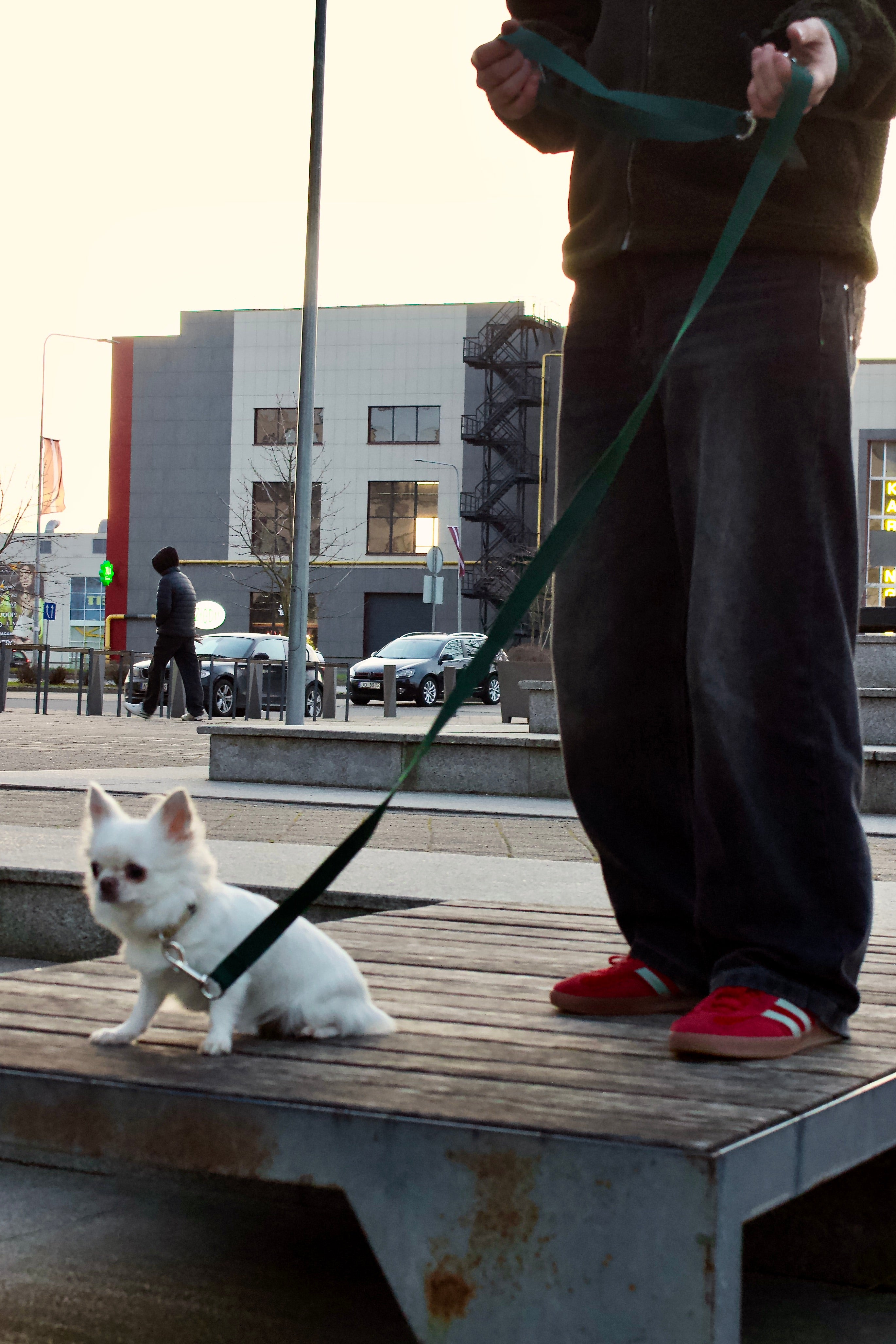 Daudzfunkcionālas suņu pavadas