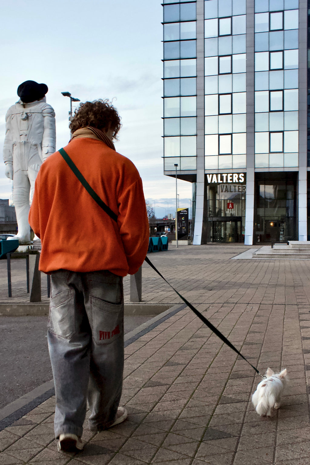 Daudzfunkcionālas suņu pavadas