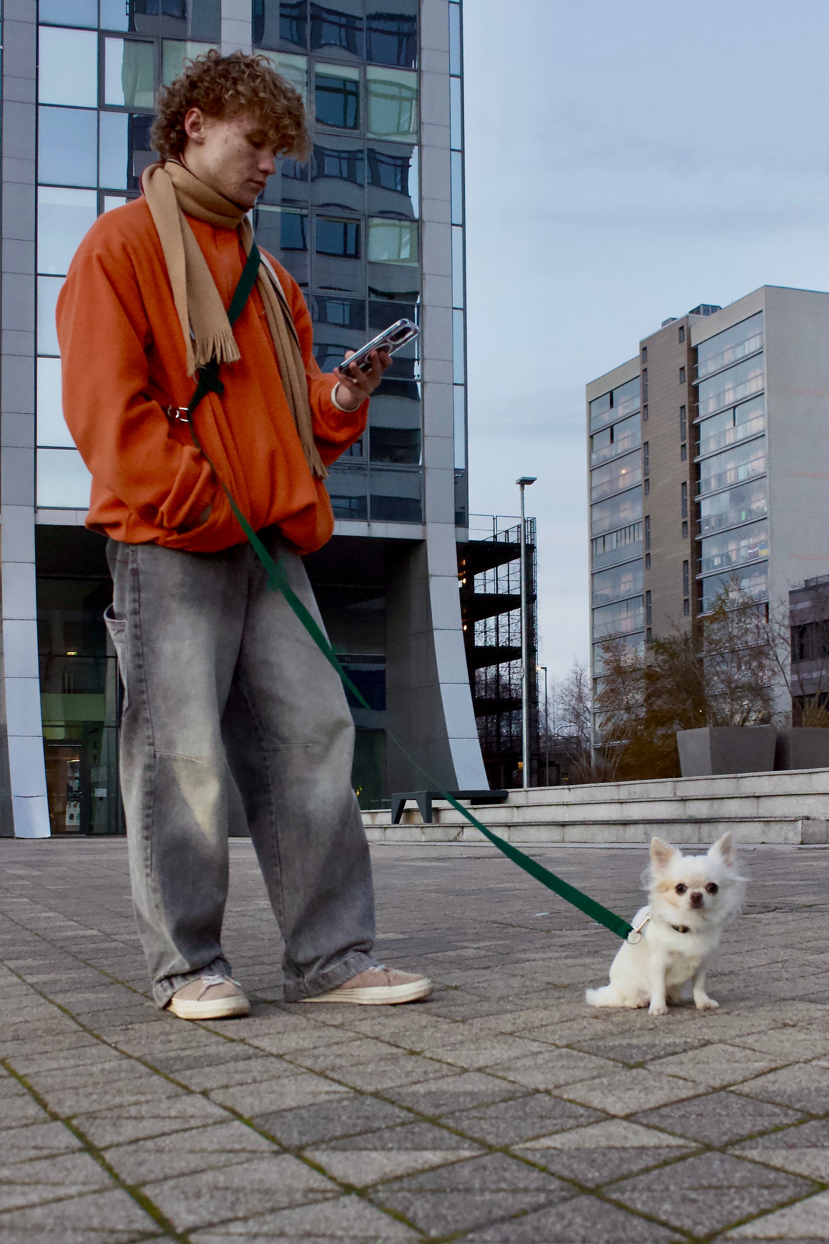 Daudzfunkcionālas suņu pavadas